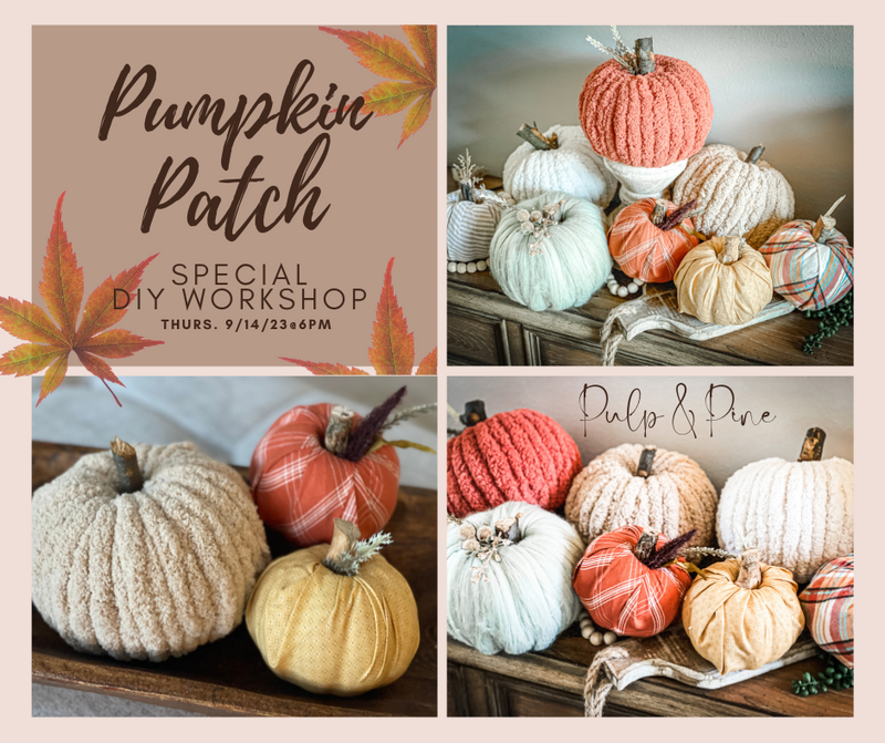 10.20.23 @ 6pm Pumpkin Patch Special DIY Workshop